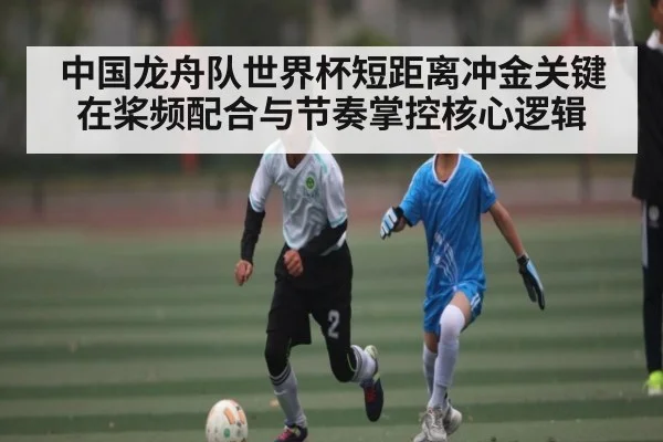 中国龙舟队世界杯短距离冲金关键在桨频配合与节奏掌控核心逻辑 | bwin match center